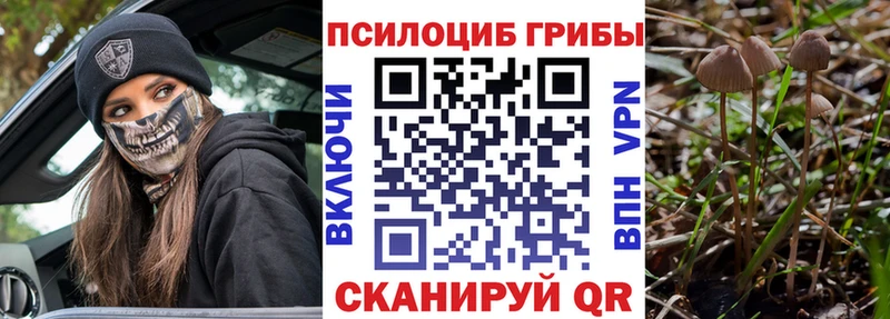 Псилоцибиновые грибы прущие грибы  цена наркотик  Туринск 